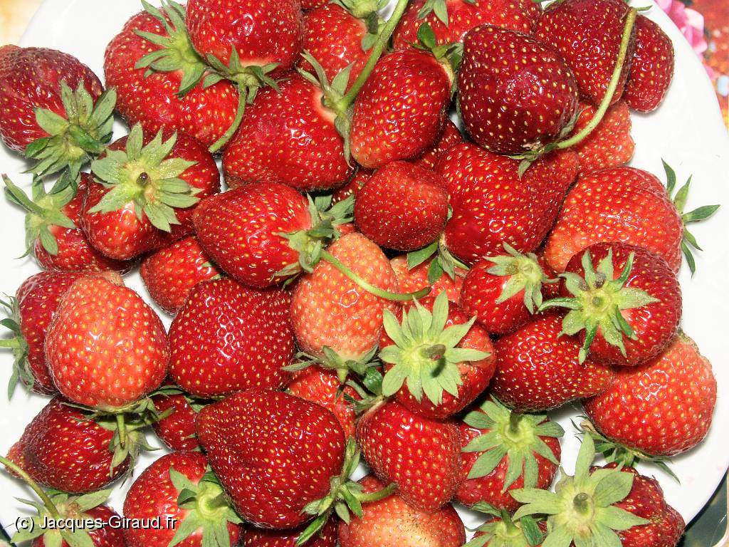 2005-06-04 15-24-22 Mai 73,0mm 1_60_eme F9,0.JPG